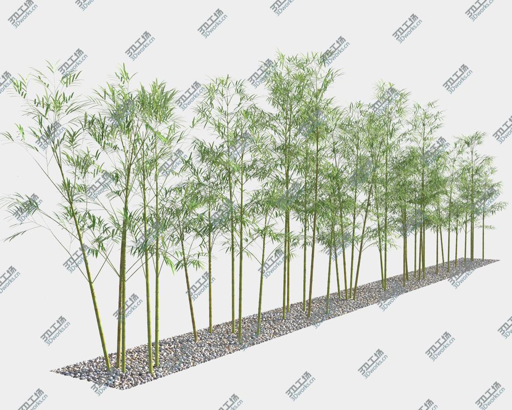 images/goods_img/20210313/Bamboo Trees 4 (GrowFX)/2.jpg